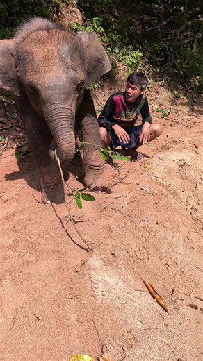 เสน่ห์ของครอบครัวฝนรินกับช้างน้อย