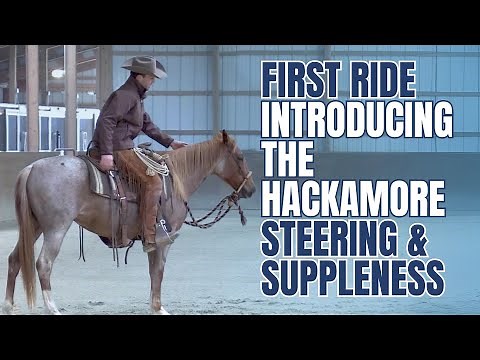 Starting A Horse In The Hackamore