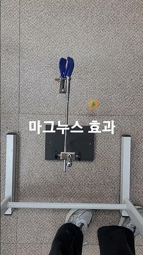 마그누스효과 #Magnus effect #과학실험 #세특보고서 #물리