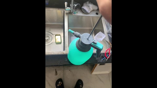 Pet turtle wiggles rhythmically as owner bathes it with spray bottle