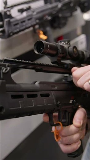 Everyone Should Have The Springfield Hellion