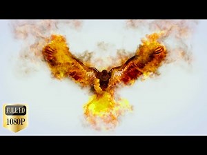 Templates - 10 New & Free Templates-Full HD-No Text-No Copyright-Download Links In Description.