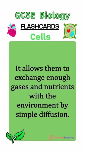 Cell biology revision flashcards GCSE #education #revision #combinedscience