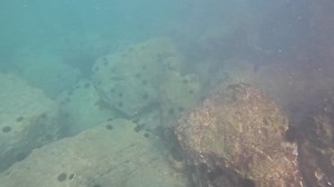 6.8K views · 246 reactions | The Underwater World of Al Marjan Island Beach, Ras Al-Khaimah, UAE | Life without borders Dubai, UAE | Facebook