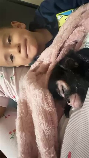Mono araña 🐒🙈🙊😍 keysha y darían