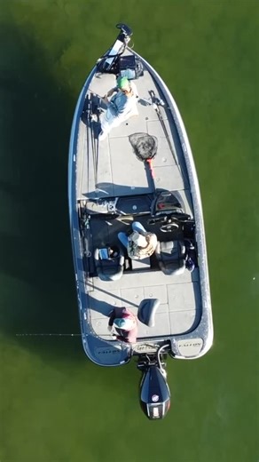 Jeff Nail Fishing and Guide Service on Instagram: "Lake Lanier is a special place! #LakeLanier #CummingGA #SpottedBass #SpottedBassFishing #BassFishing #FalconPredator #FishingGuide #GeorgiaFishing #LanierFishing #jeffnailfishing #falconbassboats #baitshackmarine"