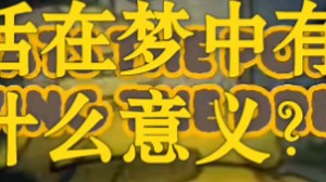 另一个兄弟/AⅠ扩展/翻译/