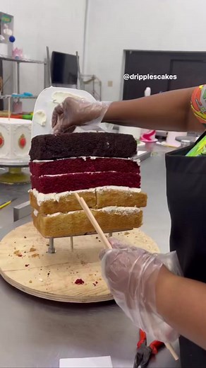 78K views · 2.5K reactions | Trolley Bag Cake. Alot does really go into making realistic cakes. Video Credit: Dripples Cakes You are amazing Ma'am ❤️❤️ #learncakes #cakedecorating #kiddiescake #cakesforkids #bagcake #kidsbagcake #naijabakers #worldbaker #topbaker #cakereels #explore | Learn Cakes and Baking | Facebook