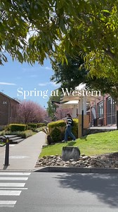 7.2K views · 74 reactions | Spring, spring, spring ✨ #internaltionalstudent #westernsydneyu #spring | Western Sydney University International | Facebook