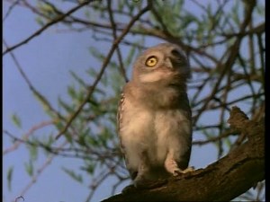 78K views · 2.4K reactions | When Taylor Swift comes on the radio and your mom changes the station :( | Seventeen | Facebook