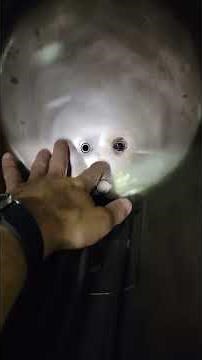 Midmark - water level sensor for a midmark sterilizer