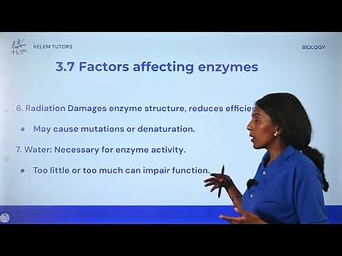 3.7 Factors affecting enzyme action: Biology Grade 11