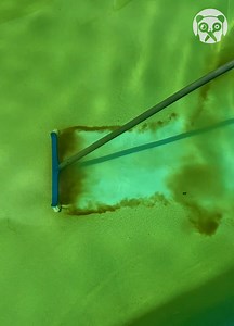 44K views · 114 reactions | Satisfying pool stain removal process Partner: mestre.das.piscinas IG: https://www.instagram.com/mestre.das.piscinas/ TT: https://www.tiktok.com/@mestre.das.piscinas YT: https://www.youtube.com/@MestredasPiscinas | Bored Panda Art | Facebook