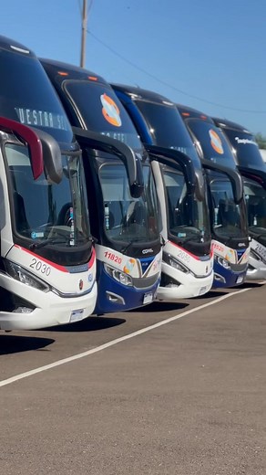 El Gobierno del Paraguay con el sector privado, mejoran y modernizan el servicio de transporte público con renovación y puesta en marcha de 77 buses 0 km para los servicios de corta, media, larga distancia e internacional. | Pedro Alliana