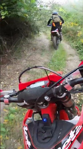 2024 beta 300rr vs xtrainer