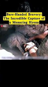 Bare-Handed Bravery: The Incredible Capture of a Menacing... #Shorts #curious.jake