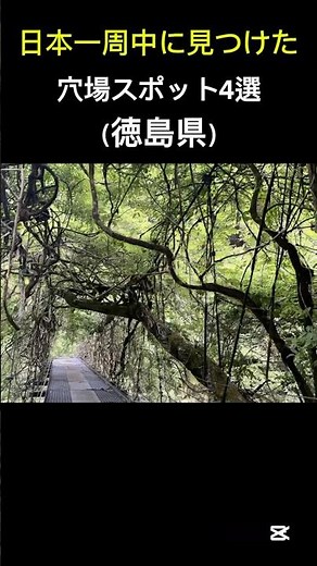 地元民も知らない徳島県の穴場スポット4選 #日本一周 #旅行 #絶景 #徳島