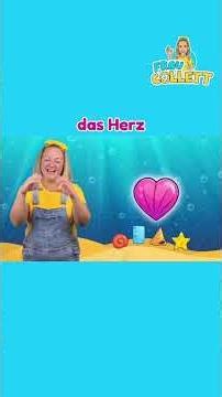 🐚Learn counting & shapes | Learn shells with Mrs. Collett