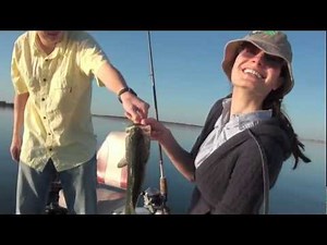 Lake Fayette Bass Fishing With Guide Bob Green