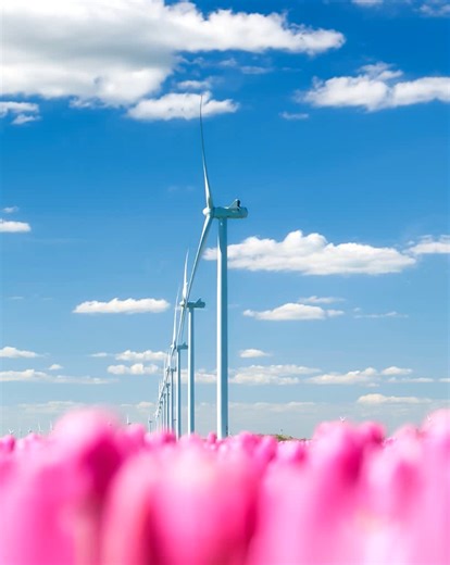 Did you know you could add motion to still photos? Moving Elements makes it easy. | Adobe Photoshop Elements & Premiere Elements