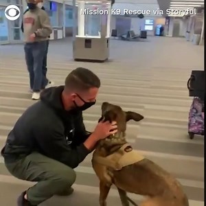 10M views · 92K reactions | REUNITED: A retired military dog and her former handler were reunited in North Carolina through the help of working dog aid organization Mission K9 Rescue ❤️ | CBS News | Facebook