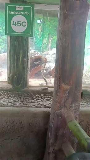 A Snake is Playing Happily ||