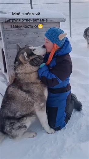 Ещё немного любятинки)) Цитрус будет благодарен за подписку❤️