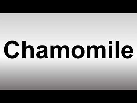 How to Pronounce Chamomile
