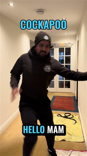 POV: different types of dogs when you come home