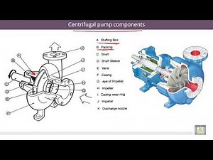 Hydraulic Machines | 5-8 | Centrifugal Pump: Calculation of the Manometric Head