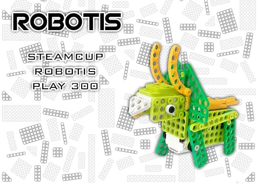 STEAMCUP ROBOTIS Play 300