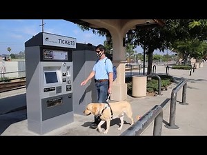 ADA Accessibility - Ticket Machines