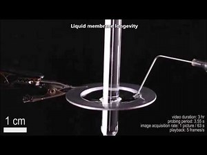 Free-standing liquid membranes as unusual particle separators