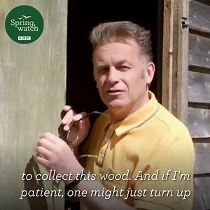 5.9M views · 12K reactions | 'What are wasps even for?' Chris Packham has all the answers  | BBC Springwatch | Facebook