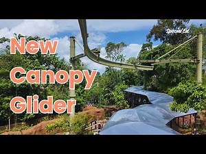 FULL 4K POV: Canopy Glider Ride at Mandai Rainforest Wild Adventure! (East & West Zone Tour) | 空中滑翔机
