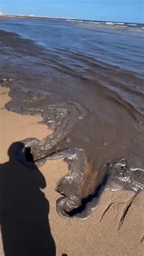 1.6M views · 18K reactions | ڤاعدين نموتوا  | Mouadh Pyro | Facebook