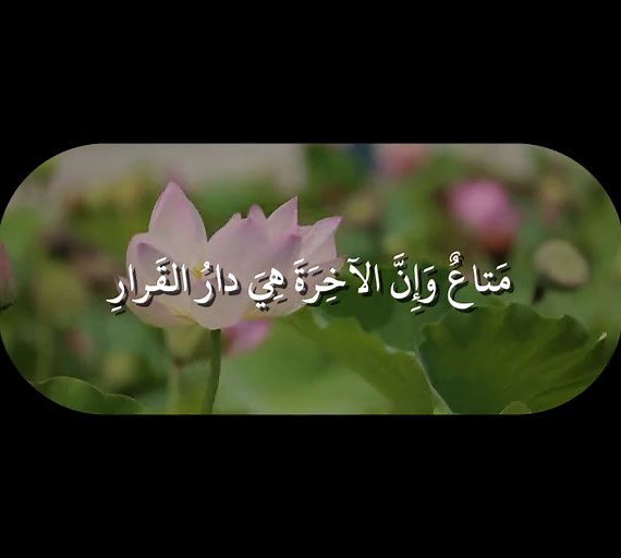 سورة غافر بصوت المنشاوي 🎧 تلاوة تهز القلوب بخشوعها #سورة_غافر #المنشاوي #تلاوة #قرآن #القرآن_الكريم #خشوع #صوت_القرآن #fyp #اسلاميات #مقاطع_قرآنية #quran #islamic_video #muslim