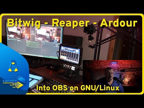 Bitwig - Reaper - Ardour Daws out and into OBS on Linux