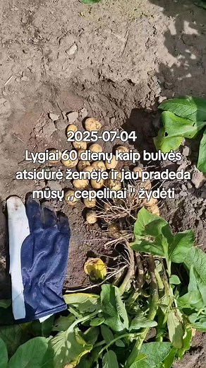 Edas Sasnauskas on Reels