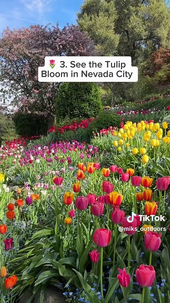 Top 5 Spring Activities Near Sacramento