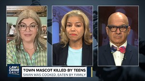 2.4K views · 69 reactions | Three teens in New York are in serious trouble after they captured a beloved swan named Faye from a fenced-in village pond, before cooking her then eating her with their family. The teens also stole the swan’s babies in hopes of keeping them as pets. The Law&Crime Network’s Terri Austin breaks down the disturbing details. | Law&Crime | Facebook