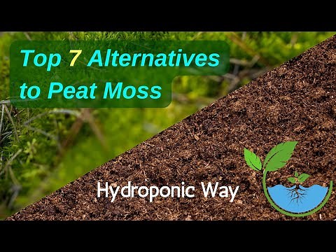 Top 7 Alternatives to Peat Moss | Hydroponic Way