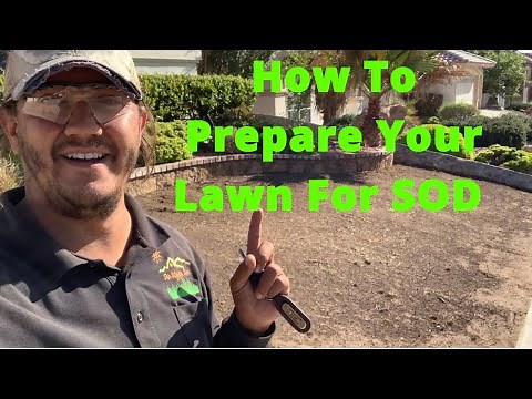 How To Prepare Your Lawn For SOD