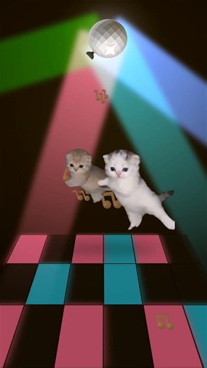 A pack of kittens INVADED the CLUB 🪩😼