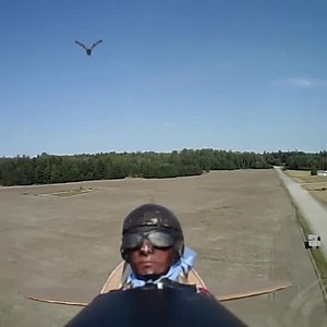Bird Attacks RC Plane Hacking the Head of Toy Pilot Figure |
