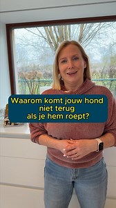 Je hond wil wel komen maar hij kan niet" En dat vraagt om jouw inzicht. Welke letter past bij jullie: A/B/C/? | De Bolster Hondengedragsbegeleiding