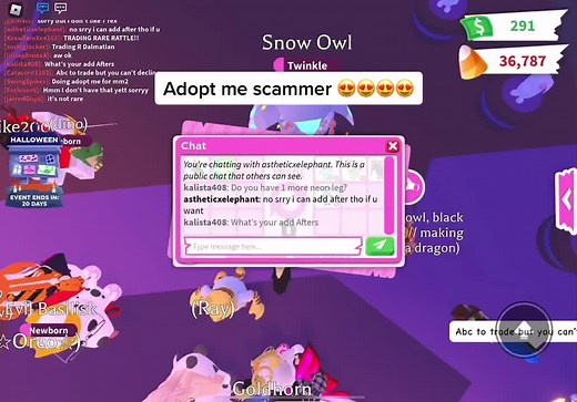 Avoid Adopt Me Scams with These Tips