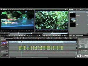 Edius 5 101: Core Edius - 03. Basic Layout