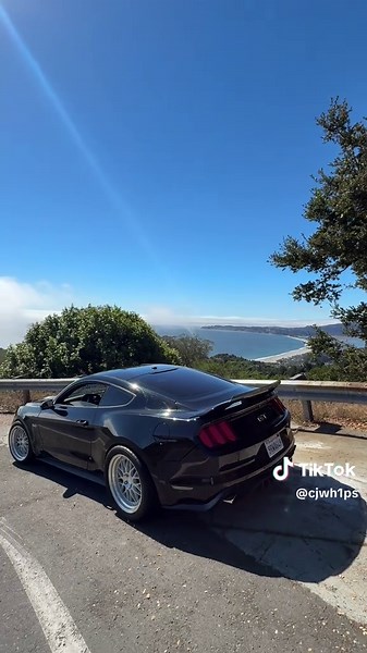 Ghost cammed 5.0. Show me yalls 5.0’s #5oh #mustang #v8 #cammed #view