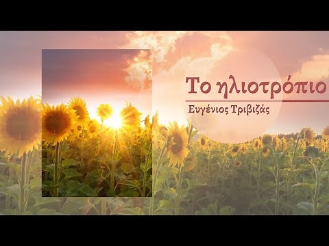 Το Ηλιοτρόπιο | Ευγένιος Τριβιζάς |Αφήγηση Παραμυθιών ✨ Όνειρα Γλυκά